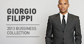 2013 Business Collection