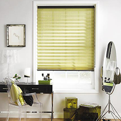 blinds in seepz