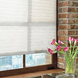 blinds in seepz