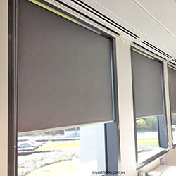 blinds in seepz