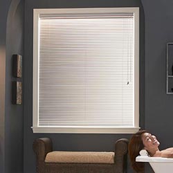 blinds in seepz