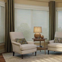 blinds in seepz