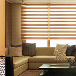 blinds in seepz